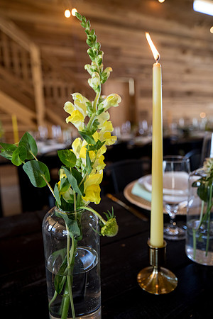 sara_kauss_photography_6980