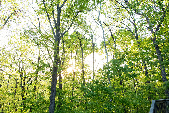 sara-kauss-photography-8789