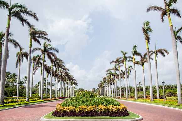 0002-sara-kauss-photography-5412