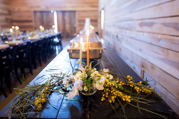 sara_kauss_photography_7155