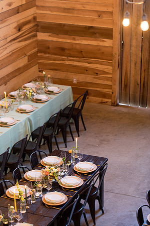 sara_kauss_photography_7106