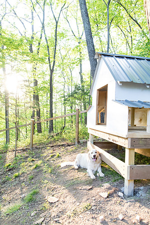 sara-kauss-photography-8754