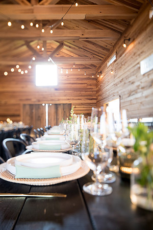 sara_kauss_photography_0394