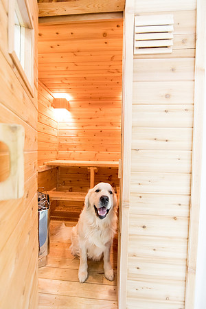 sara-kauss-photography-7234