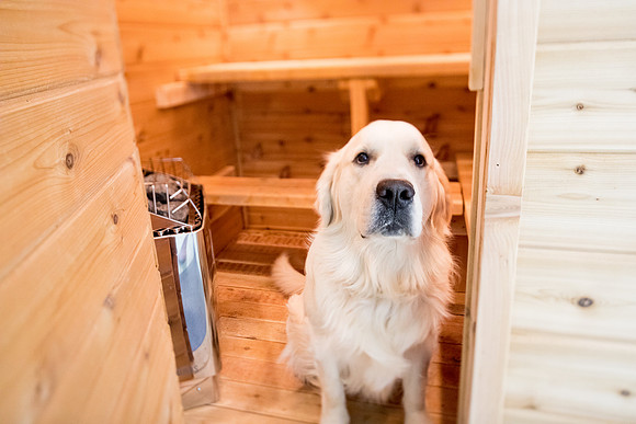 sara-kauss-photography-7255