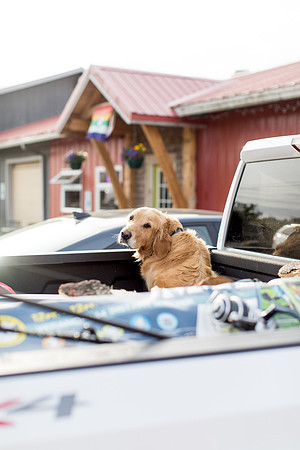 sara_kauss_photography_3807