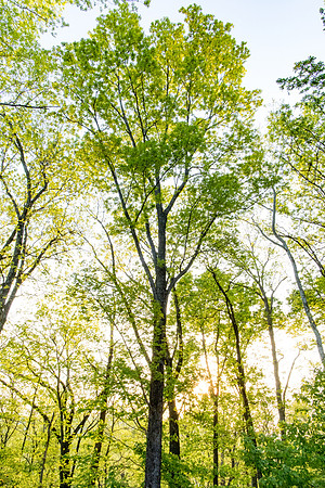 sara-kauss-photography-8793