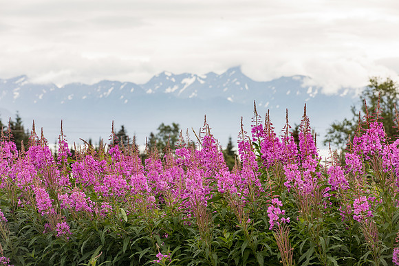 sara_kauss_photography_4967