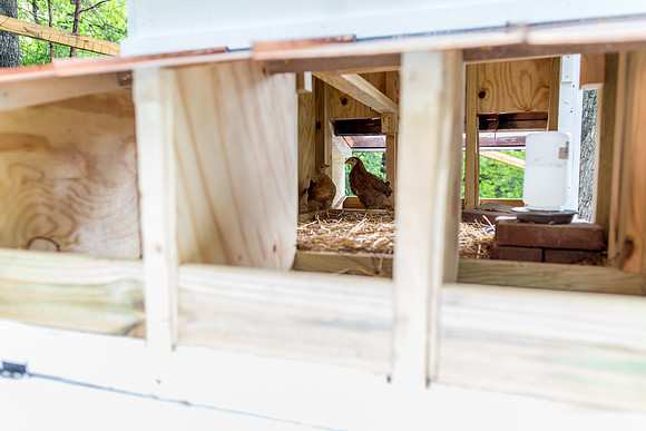 sara_kauss_photography_0052