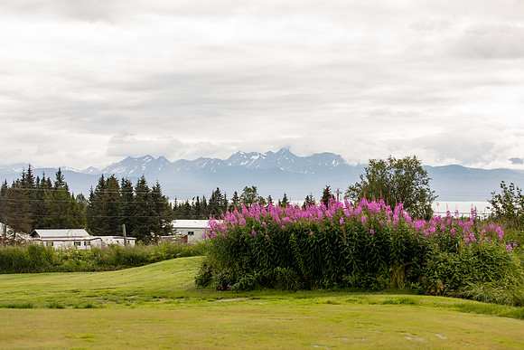 sara_kauss_photography_4955