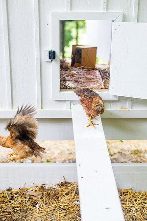 sara-kauss-photography-9769